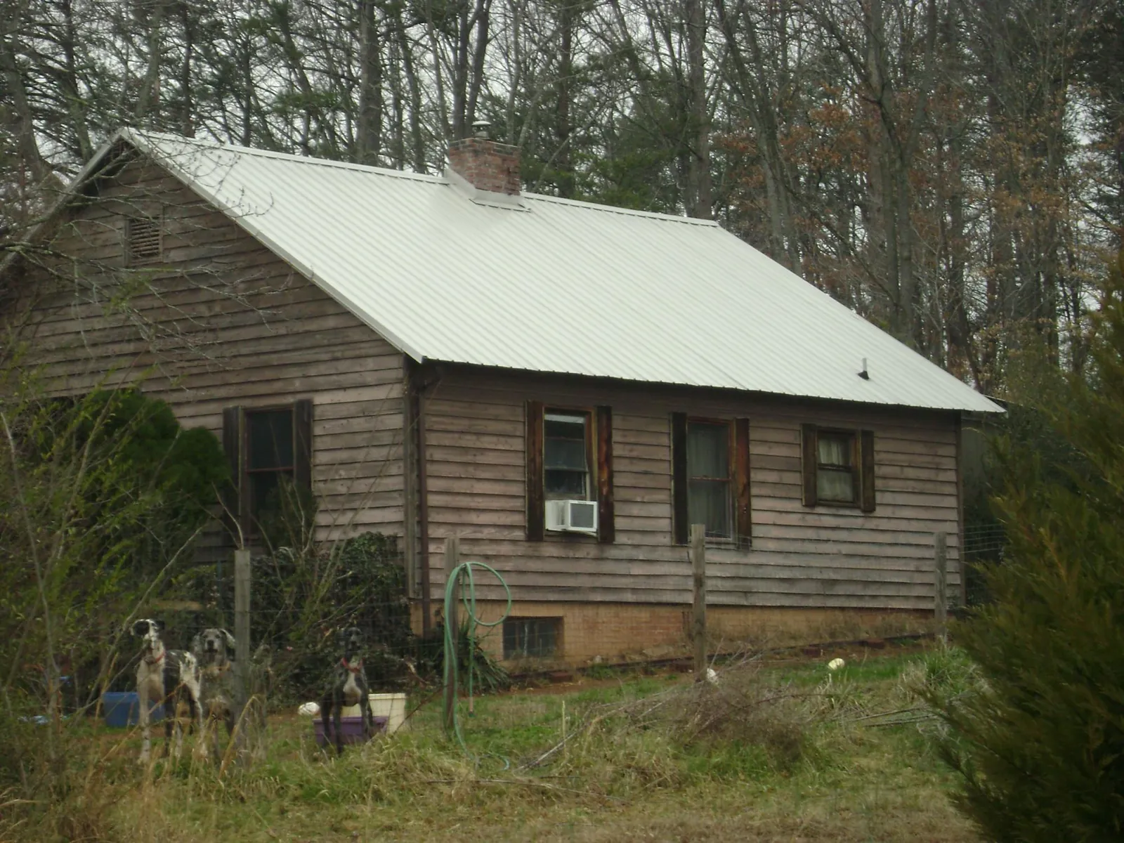 White metal roof on an old wood sided farmhouse, from a Asphalt Shingle Roof Repair job in Old Monroe